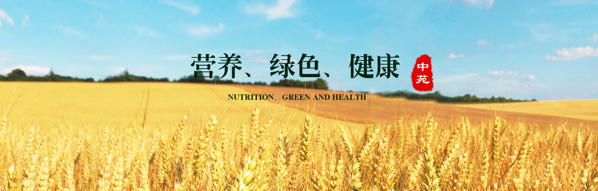 青島面食禮盒批發(fā)