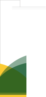 青島面食禮盒批發(fā)